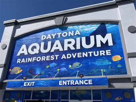 daytona aquarium and rainforest reviews.